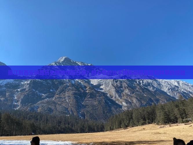 丽江到西安陕西历史博物馆四日游？担心性价比不缚来聊聊露营和种草的经验