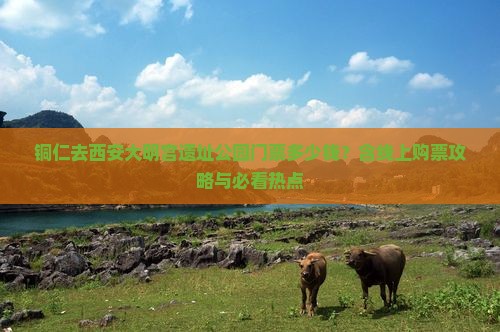 铜仁去西安大明宫遗址公园门票多少钱？含线上购票攻略与必看热点