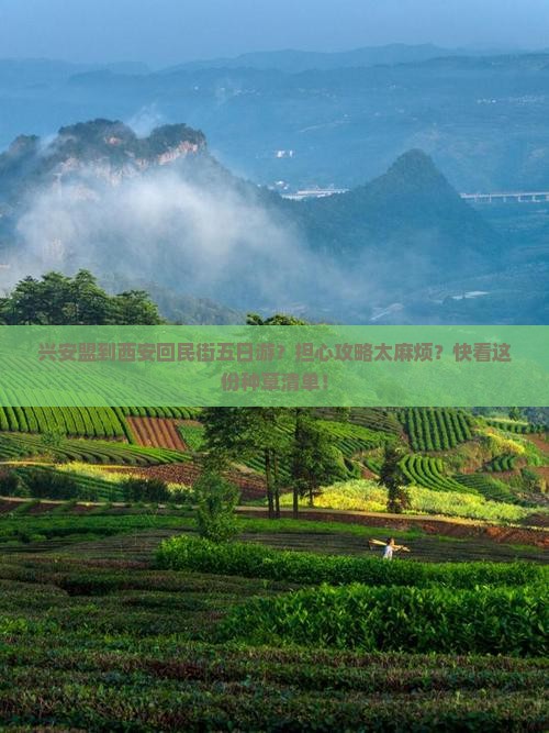 兴安盟到西安回民街五日游？担心攻略太麻烦？快看这份种草清单！