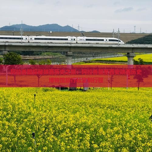 阿拉善盟探秘陕西历史之旅：阿拉善盟至西安陕西历史博物馆旅行社定制行程