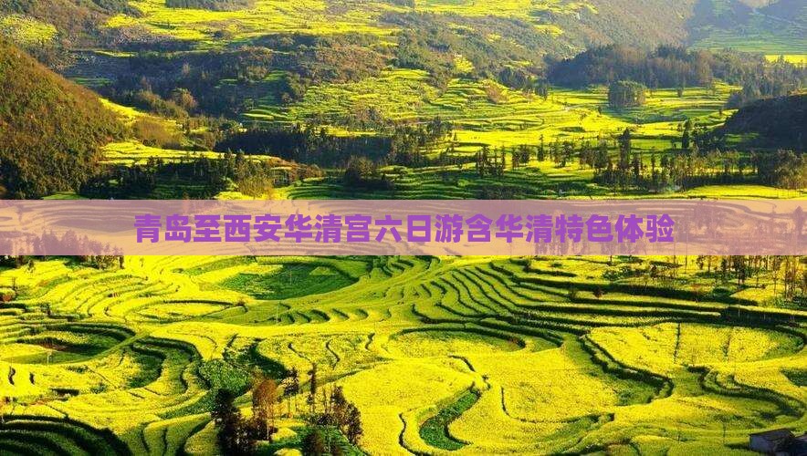 青岛至西安华清宫六日游含华清特色体验