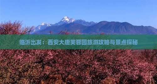 临沂出发：西安大唐芙蓉园旅游攻略与景点探秘