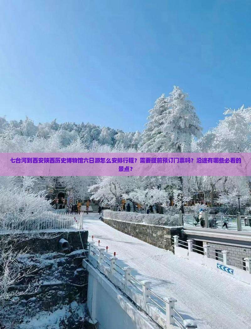 七台河到西安陕西历史博物馆六日游怎么安排行程？需要提前预订门票吗？沿途有哪些必看的景点？