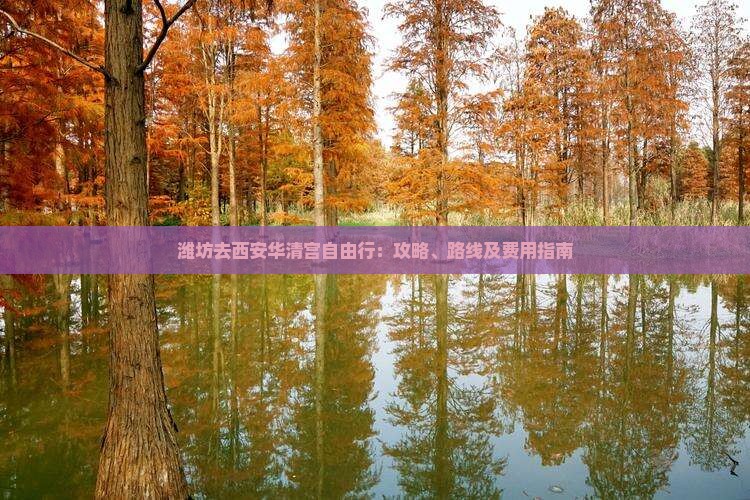 潍坊去西安华清宫自由行：攻略、路线及费用指南