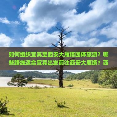 如何组织宜宾至西安大雁塔团体旅游？哪些路线适合宜宾出发前往西安大雁塔？西安大雁塔团体旅游攻略与预订指南