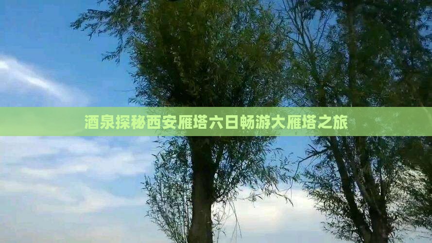 酒泉探秘西安雁塔六日畅游大雁塔之旅