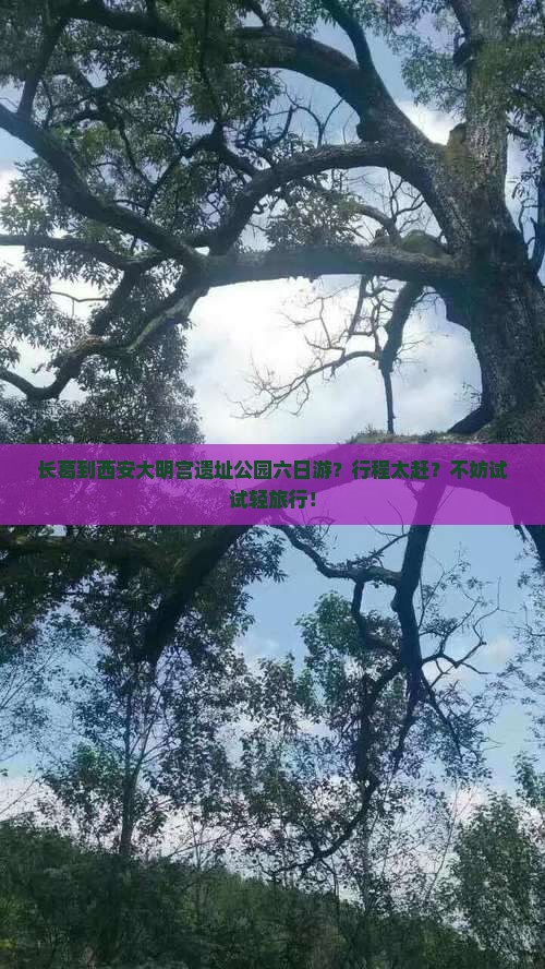 长葛到西安大明宫遗址公园六日游？行程太赶？不妨试试轻旅行！