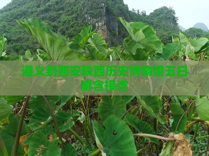遵义到西安陕西历史博物馆五日游含接送
