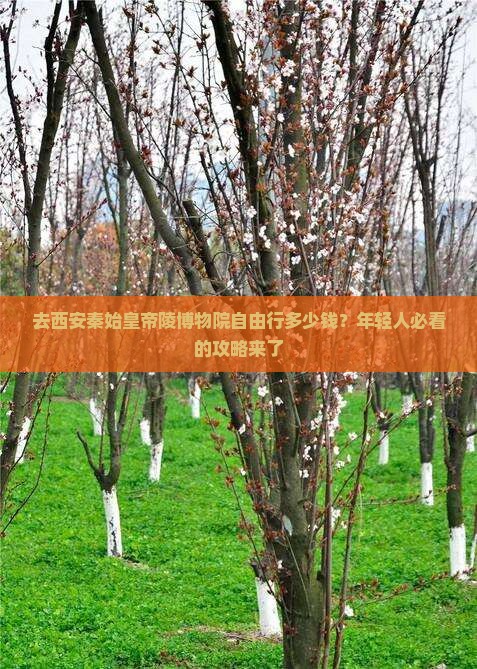 去西安秦始皇帝陵博物院自由行多少钱？年轻人必看的攻略来了