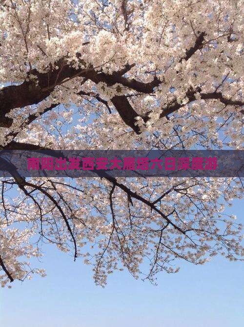 南阳出发西安大雁塔六日深度游