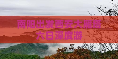南阳出发西安大雁塔六日深度游