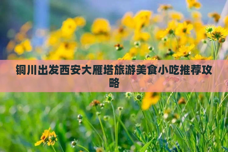 铜川出发西安大雁塔旅游美食小吃推荐攻略