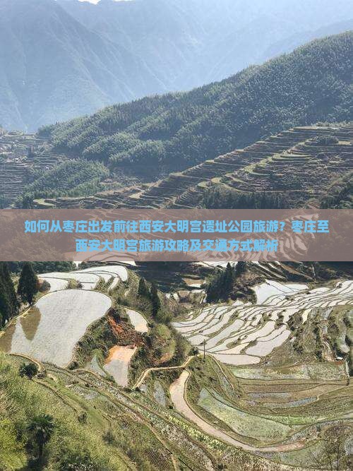 如何从枣庄出发前往西安大明宫遗址公园旅游？枣庄至西安大明宫旅游攻略及交通方式解析