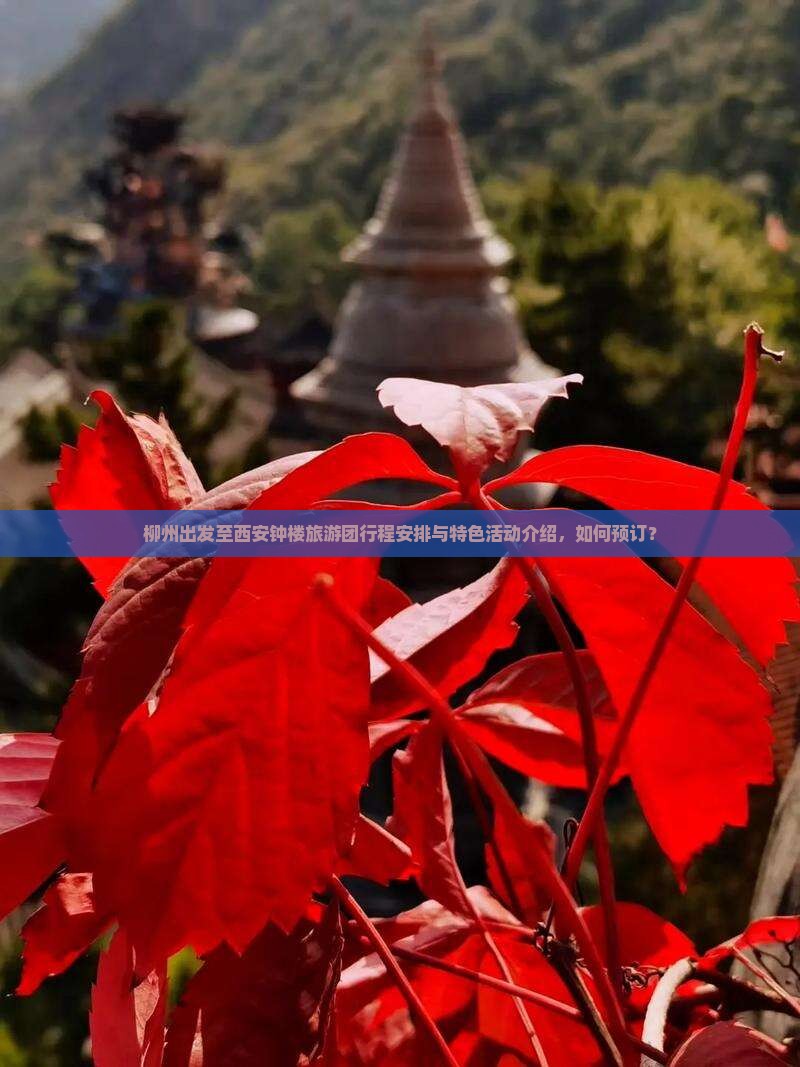 柳州出发至西安钟楼旅游团行程安排与特色活动介绍，如何预订？