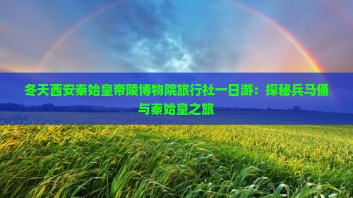 冬天西安秦始皇帝陵博物院旅行社一日游：探秘兵马俑与秦始皇之旅
