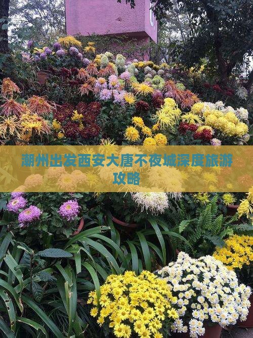 潮州出发西安大唐不夜城深度旅游攻略