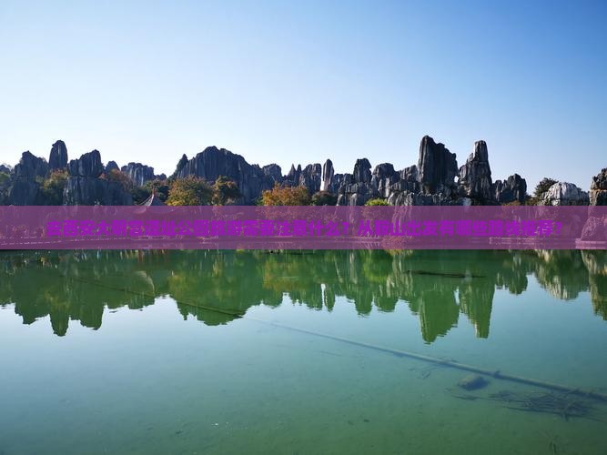 去西安大明宫遗址公园旅游需要注意什么？从鞍山出发有哪些路线推荐？