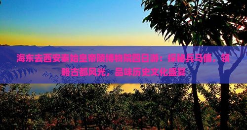 海东去西安秦始皇帝陵博物院四日游：探秘兵马俑，领略古都风光，品味历史文化盛宴