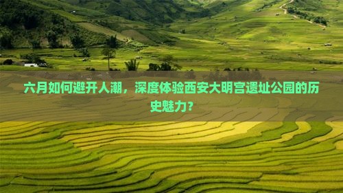 六月如何避开人潮，深度体验西安大明宫遗址公园的历史魅力？