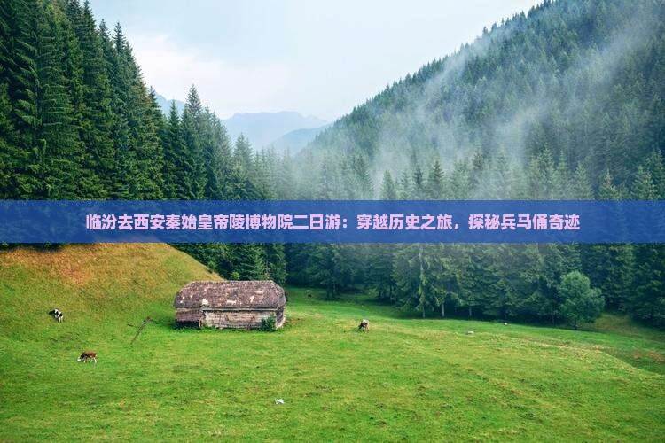 临汾去西安秦始皇帝陵博物院二日游：穿越历史之旅，探秘兵马俑奇迹