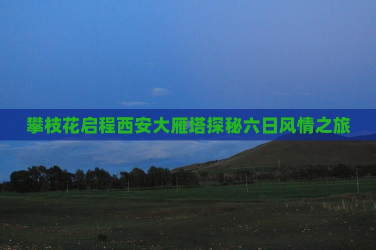 攀枝花启程西安大雁塔探秘六日风情之旅