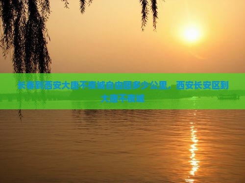 长春到西安大唐不夜城自由团多少公里，西安长安区到大唐不夜城