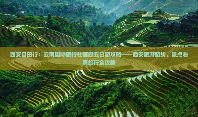 西安自由行：云南国际旅行社信息五日游攻略——西安旅游路线、景点看看旅行全攻略
