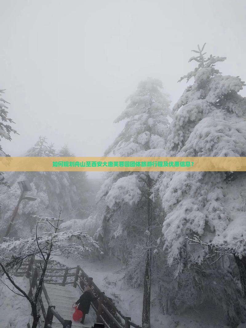 如何规划舟山至西安大唐芙蓉园团体旅游行程及优惠信息？