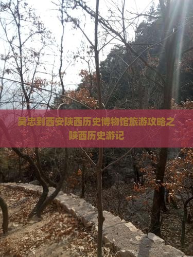 吴忠到西安陕西历史博物馆旅游攻略之陕西历史游记