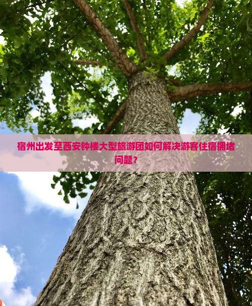 宿州出发至西安钟楼大型旅游团如何解决游客住宿拥堵问题？