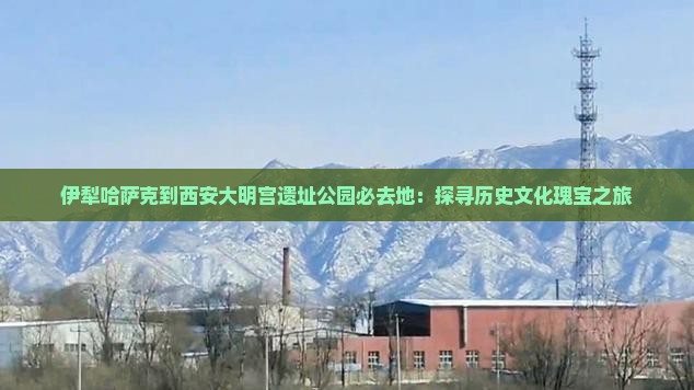 伊犁哈萨克到西安大明宫遗址公园必去地：探寻历史文化瑰宝之旅