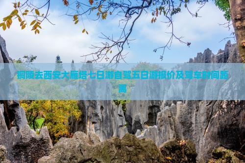 铜陵去西安大雁塔七日游自驾五日游报价及驾车时间距离