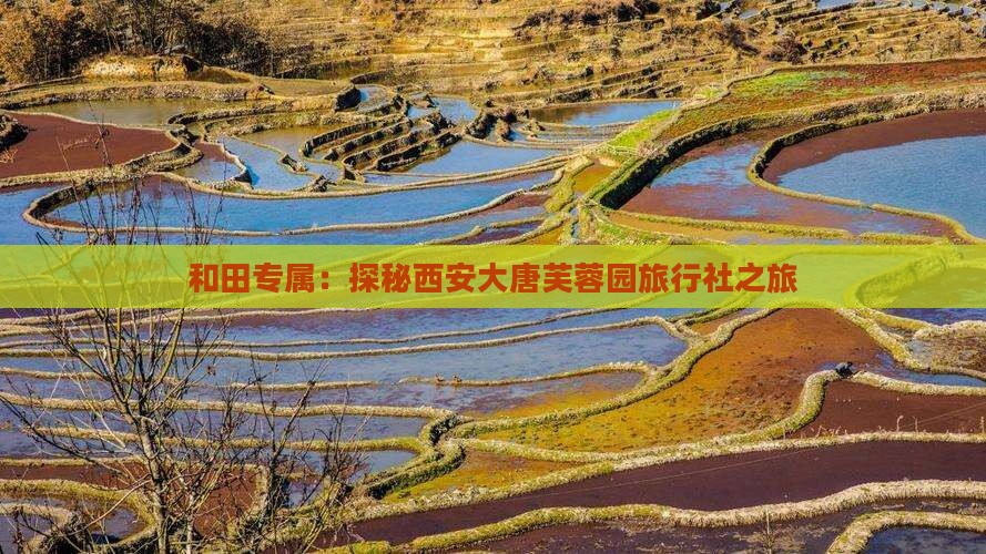 和田专属：探秘西安大唐芙蓉园旅行社之旅