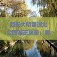 西安大明宫遗址公园游玩攻略：博尔塔拉出发探秘大明遗址之旅