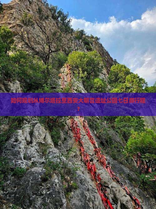 如何规划从博尔塔拉至西安大明宫遗址公园七日游行程？