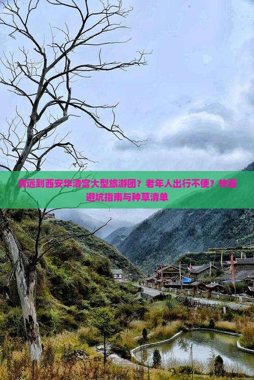 清远到西安华清宫大型旅游团？老年人出行不便？快看避坑指南与种草清单