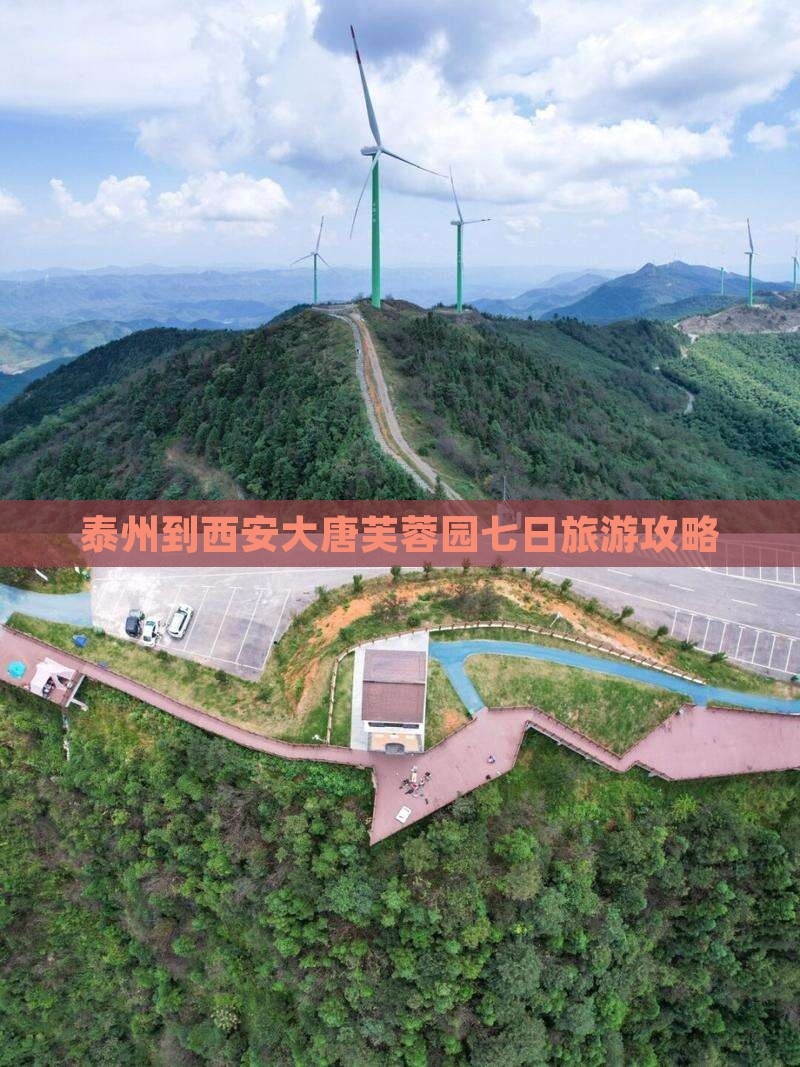 泰州到西安大唐芙蓉园七日旅游攻略