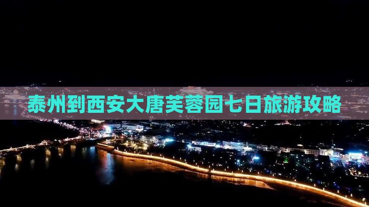 泰州到西安大唐芙蓉园七日旅游攻略
