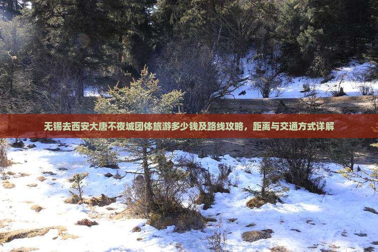 无锡去西安大唐不夜城团体旅游多少钱及路线攻略，距离与交通方式详解
