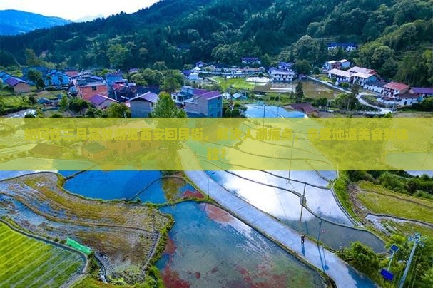 如何在三月高效游览西安回民街，解决人潮痛点，享受地道美食新体验？