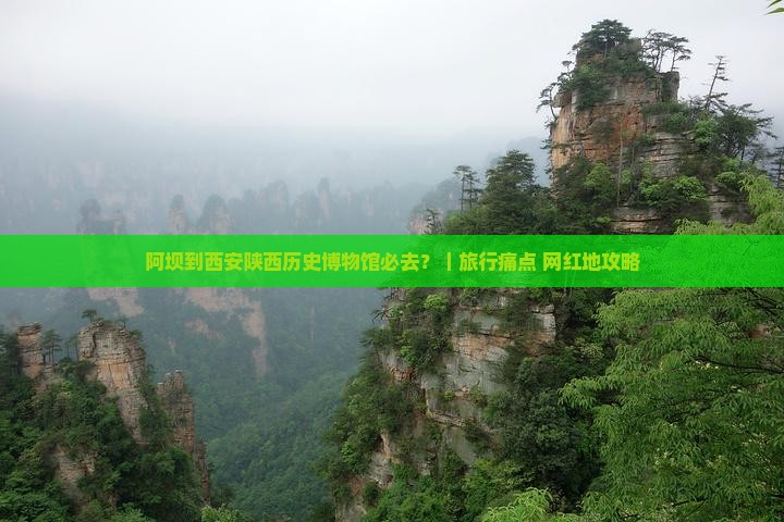 阿坝到西安陕西历史博物馆必去？｜旅行痛点+网红地攻略