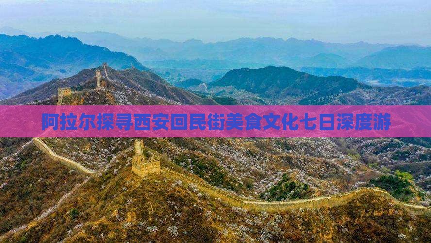 阿拉尔探寻西安回民街美食文化七日深度游