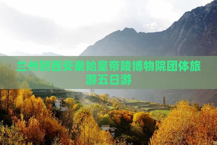 兰州到西安秦始皇帝陵博物院团体旅游五日游
