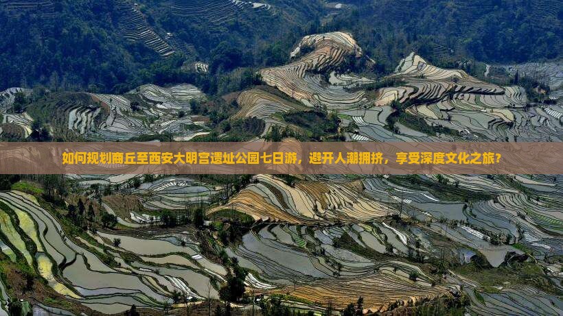 如何规划商丘至西安大明宫遗址公园七日游，避开人潮拥挤，享受深度文化之旅？