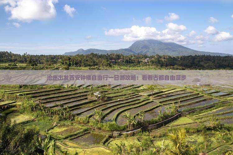 沧州出发西安钟楼自由行一日游攻略：看看古都自由漫步
