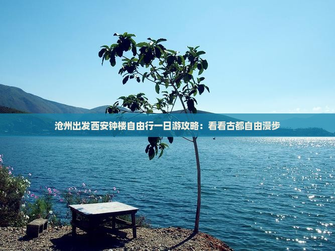 沧州出发西安钟楼自由行一日游攻略：看看古都自由漫步