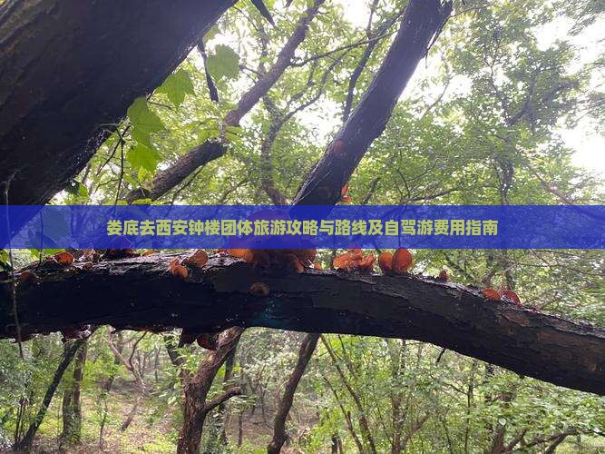 娄底去西安钟楼团体旅游攻略与路线及自驾游费用指南