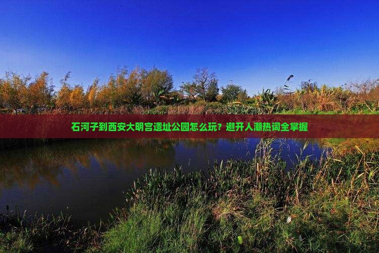 石河子到西安大明宫遗址公园怎么玩？避开人潮热词全掌握