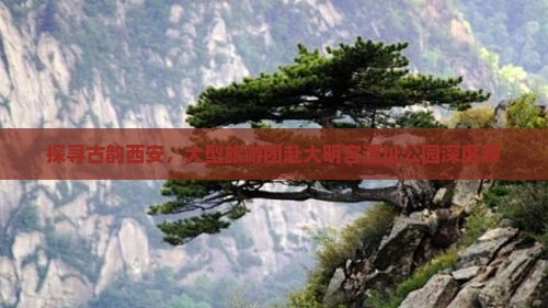 探寻古韵西安，大型旅游团赴大明宫遗址公园深度游
