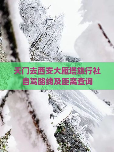 天门去西安大雁塔旅行社自驾路线及距离查询